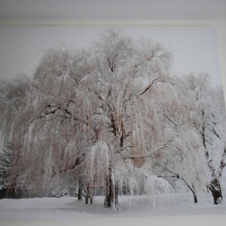 Longview House Bed & Breakfast Ballymoney Bagian luar foto