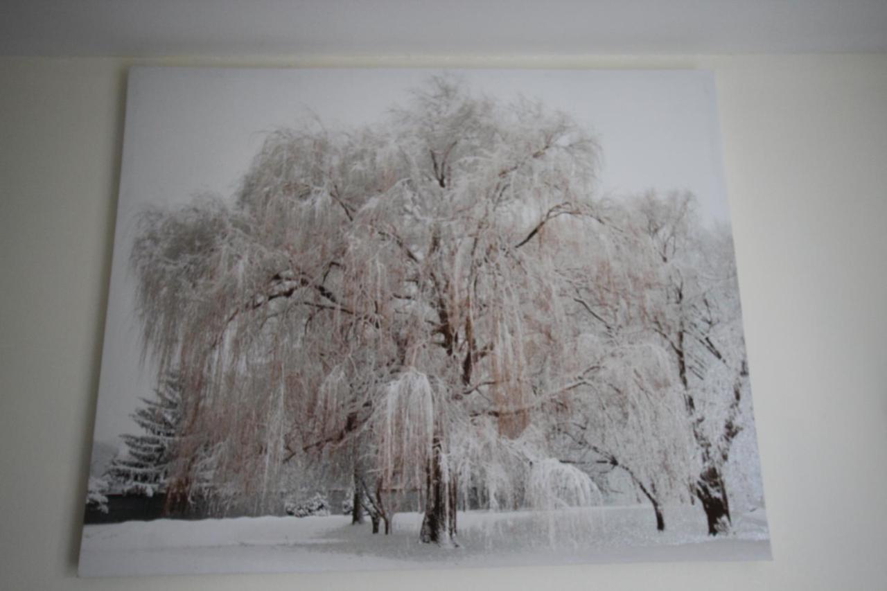 Longview House Bed & Breakfast Ballymoney Bagian luar foto
